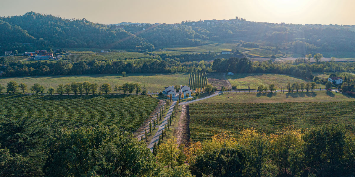 Valori - Tenuta La Giustiniana - GAVI Alessandria