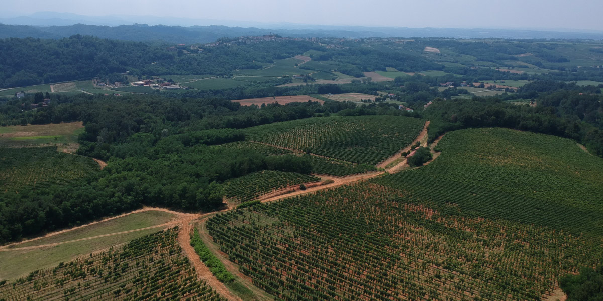 Valori - Tenuta La Giustiniana - GAVI Alessandria